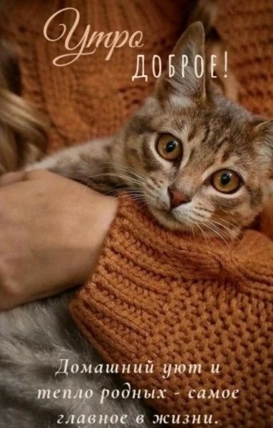 IMG 20260415 211627 522