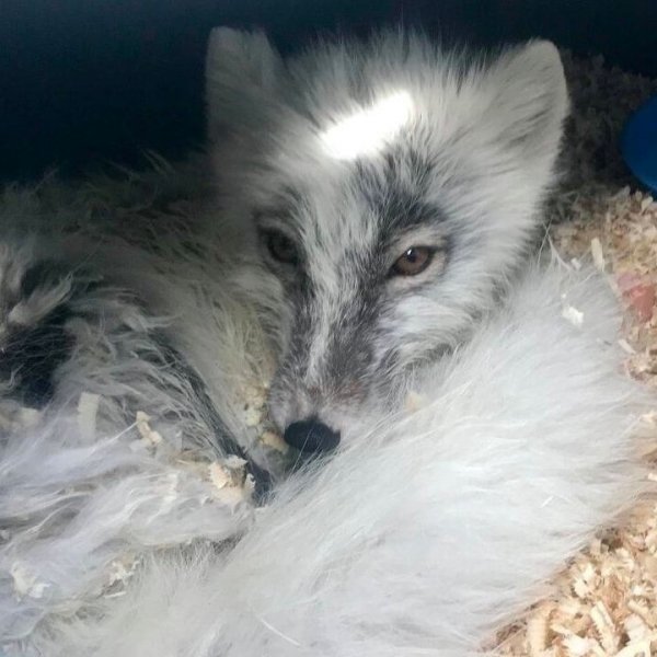 VKpv1x9R4Su5-Edu-PyPKXwnvrZd6TvUF5UUFbDmWV--66Wx8fDVv7Db5n1I