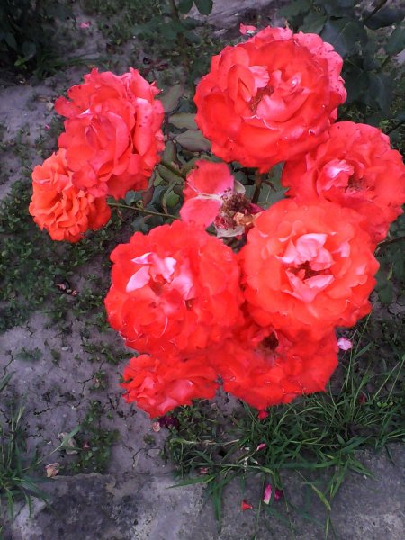 IMG 20160615 172426