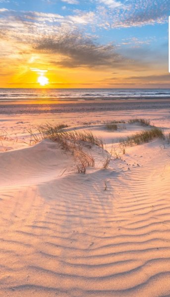 Screenshot 20260122-111316 One UI Home