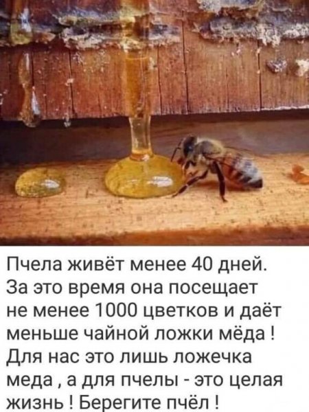 image - 2021-08-07T232835.247