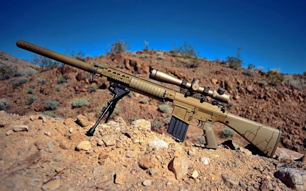 Американская снайперская винтовка SR-25