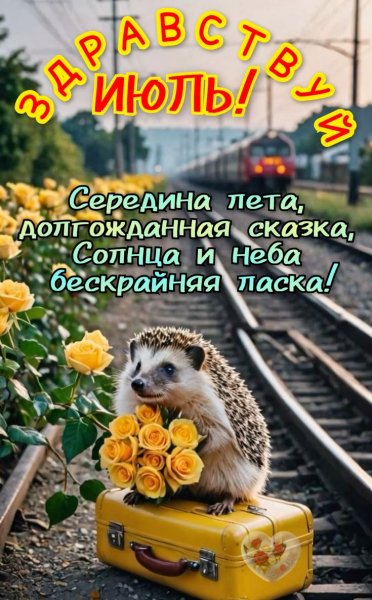 D1144acda73402962028e034955e7aa1