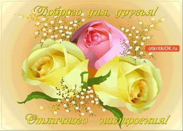 IMG 20181229 054151