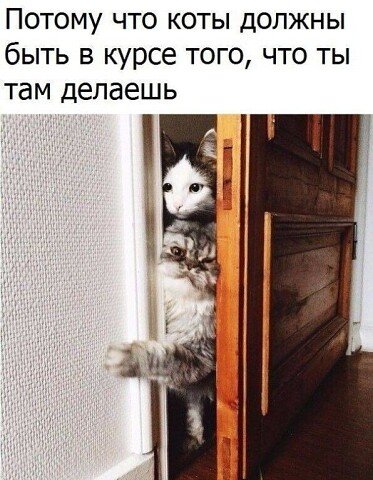 image (3) (2)