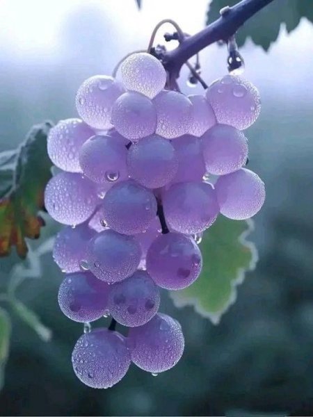 B824f816-6b82-45c7-a2d7-9b6f59fb19a7