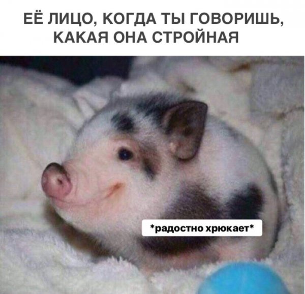 2ba5544224 samye-smeshnye-kartinki-i-memy-nedeli-0