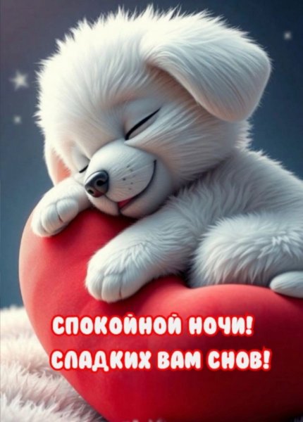 IMG-20250302-WA0061
