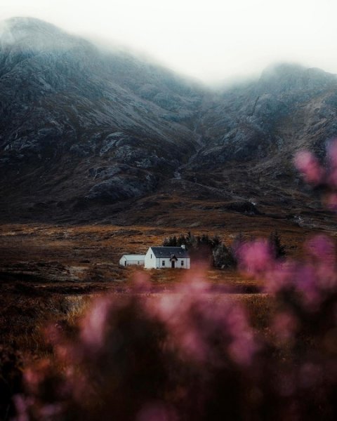 picture_385581823