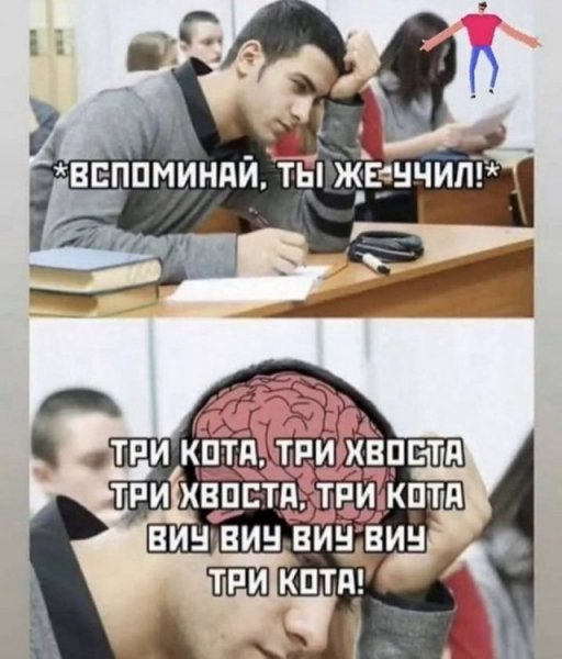 7ef08c12d5 20582477