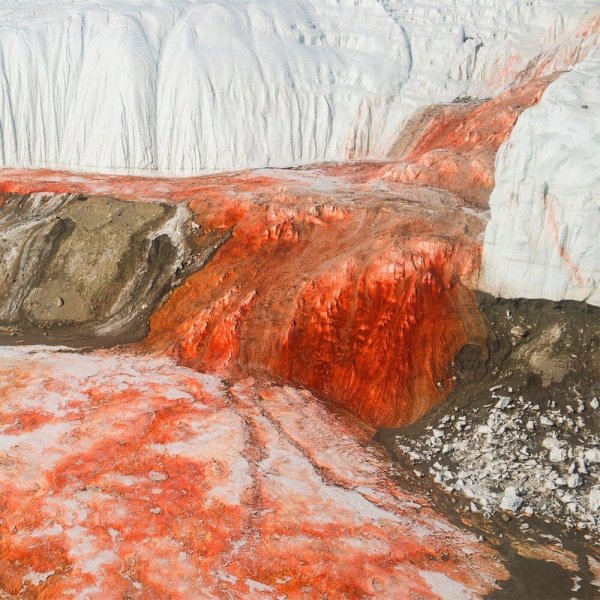 Никакой жести, просто обильное содержание оксида железа)