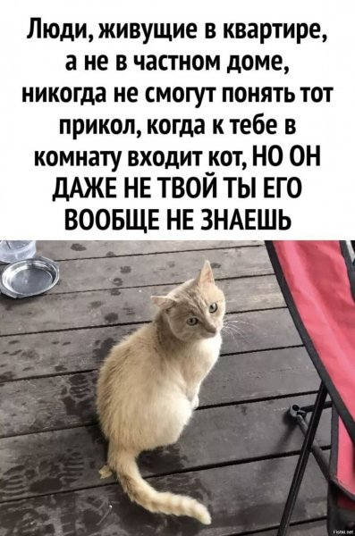 Это точно!