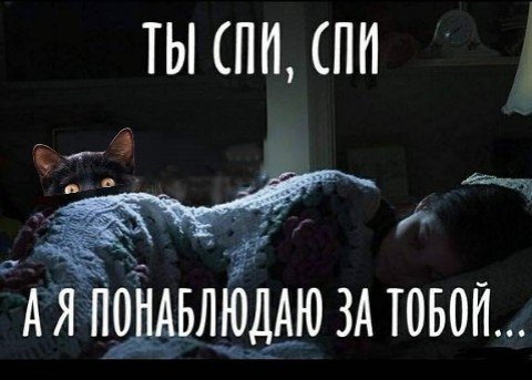 Ты спи кот!