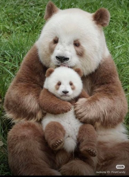 E5ee0dfca42bd534cde942ab17298d18