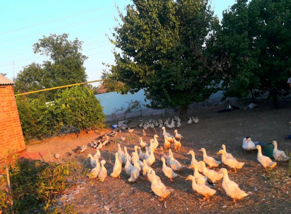 IMG 20240820 185516 539