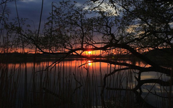 Earth-sunset-landscape-nature-reflection-tree-1437598
