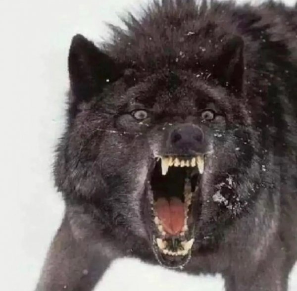 1-296109576 540571104521486 5293038146651987257 n