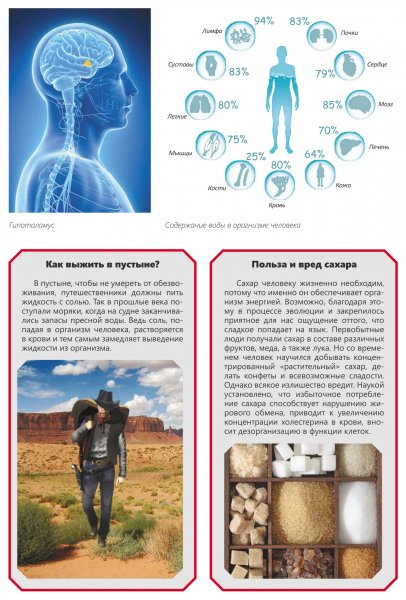 Выживание лайфхак