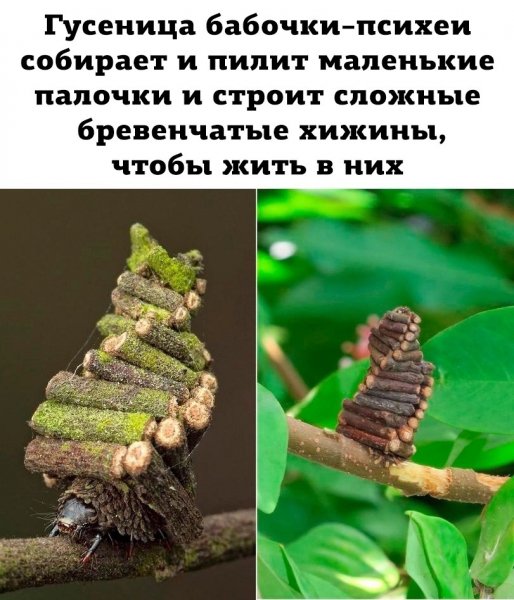 IMG-35cdbc3cc45fbee30c617f39e6a5e976-V