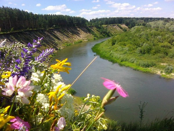 IMG 20170719 124911 0