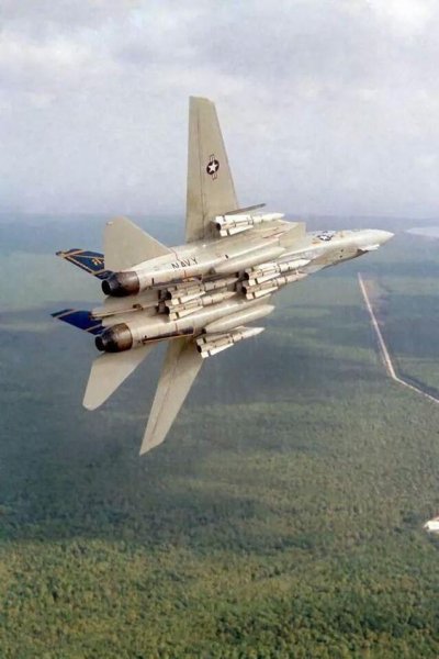 F-14 Tomcat