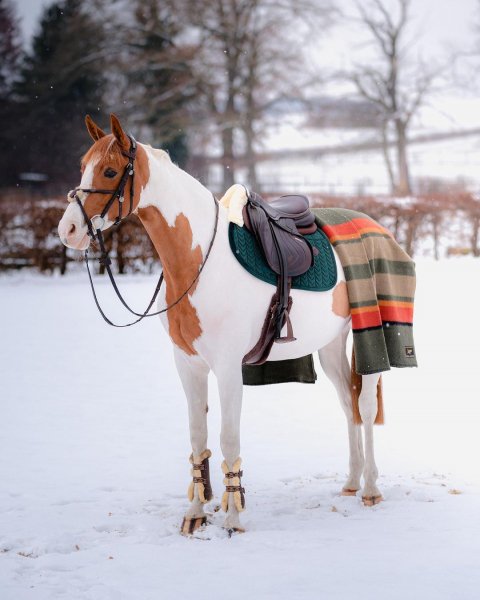 MEDIA # OF HORSE