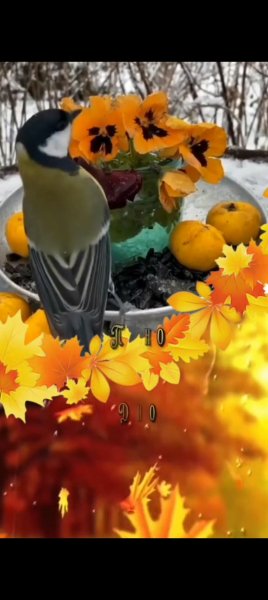 Ot 2023-11-12-20-19-50-14 6012fa4d4ddec268fc5c7112cbb265e7