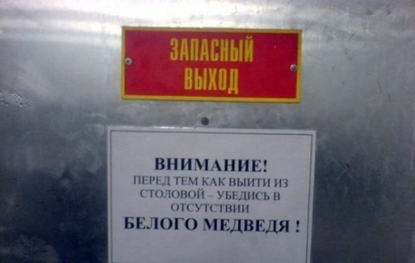 D15608f255 20561387