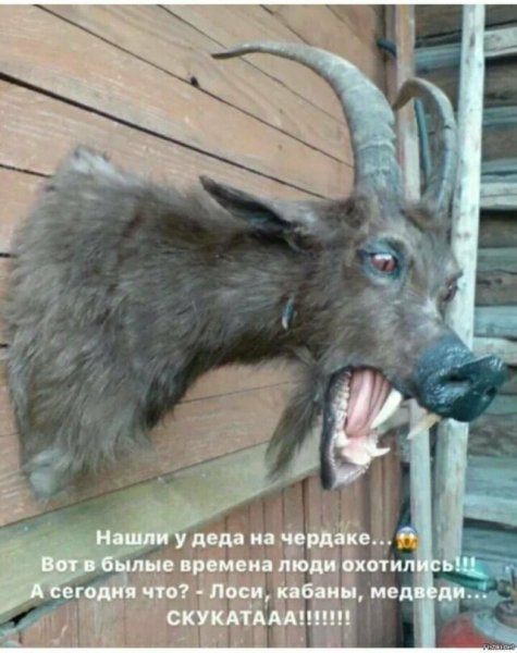 ))