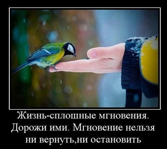 Верные слова!