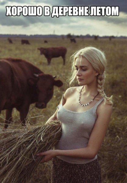 Моя помощница