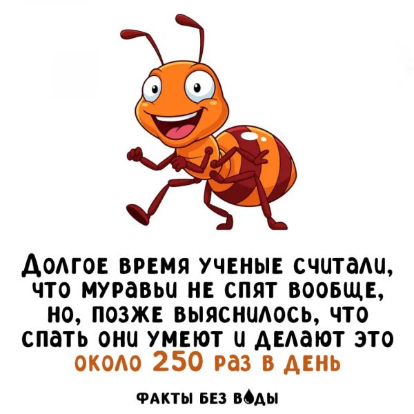 IMG 20260405 211311 110