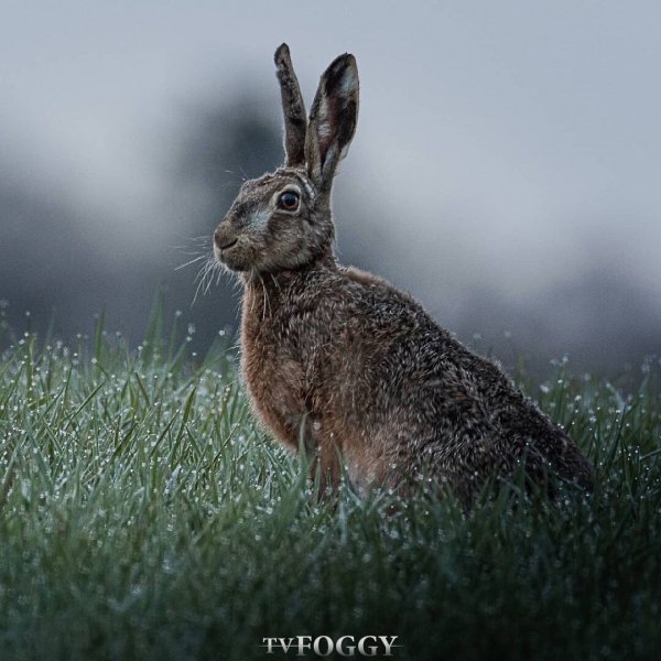 21-14-07-186812264 196998778921338 2803884505333300100 n