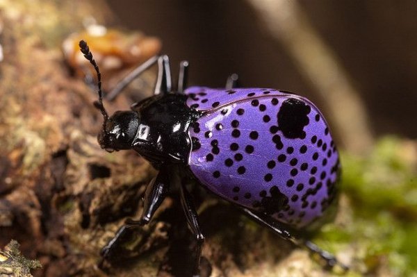 D30ad6aab9b507be35b4deb05a741841