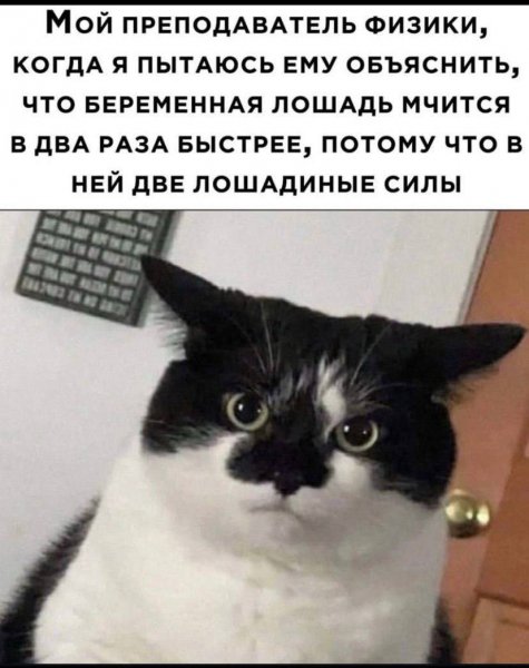 IMG 20250502 171843 758