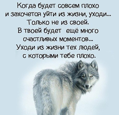 IMG 20170216 140624 3