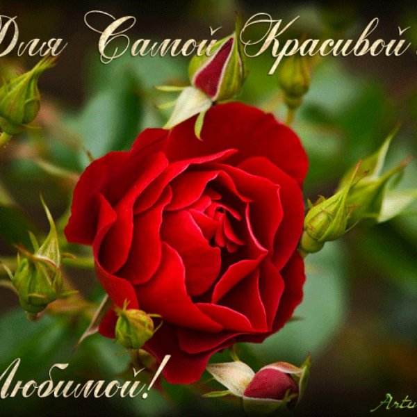 для самой красивой и любимой