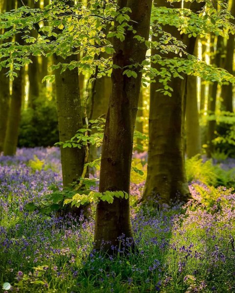 00-15-13-177772328 314873596655916 7291144335896449102 n