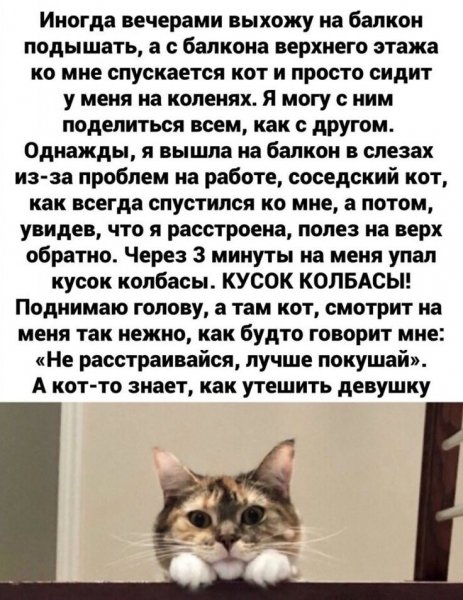 Друг