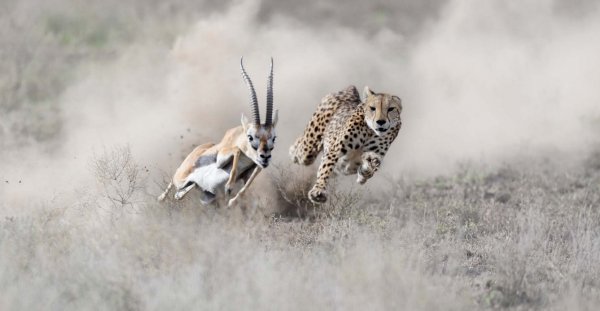 Что-то пошло не так