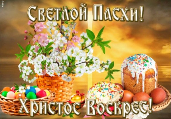 Screenshot 20220424 093117