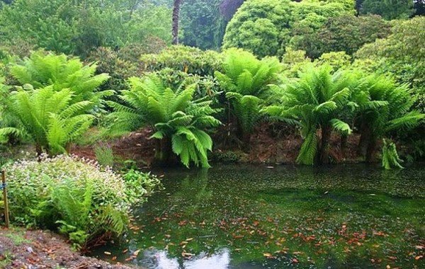 picture_297163629
