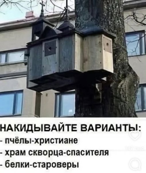 Ваши варианты)