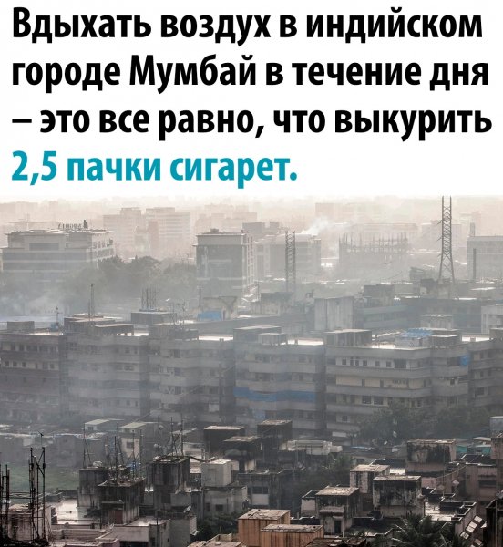 Ve8fiHeLlzU