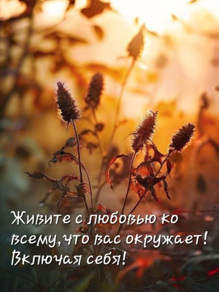 Z44ExFLf7Z0fmW5TdolYSxlavAMVe23pnPA3ox1G52R2RFL5MLzCyAlqR4 0