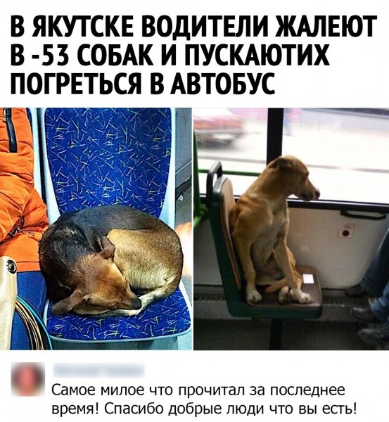 9EBA7951-9C45-46F7-B6D6-80FAD30C3537