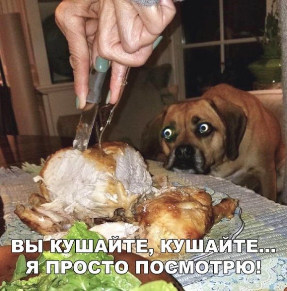 Я просто посмотрю!