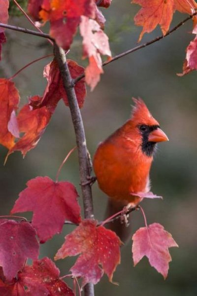 56a71e7e9fa2a2eec909d209b5d6cb2f