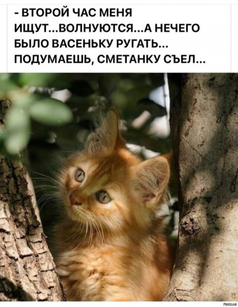 ))