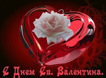 image(97)